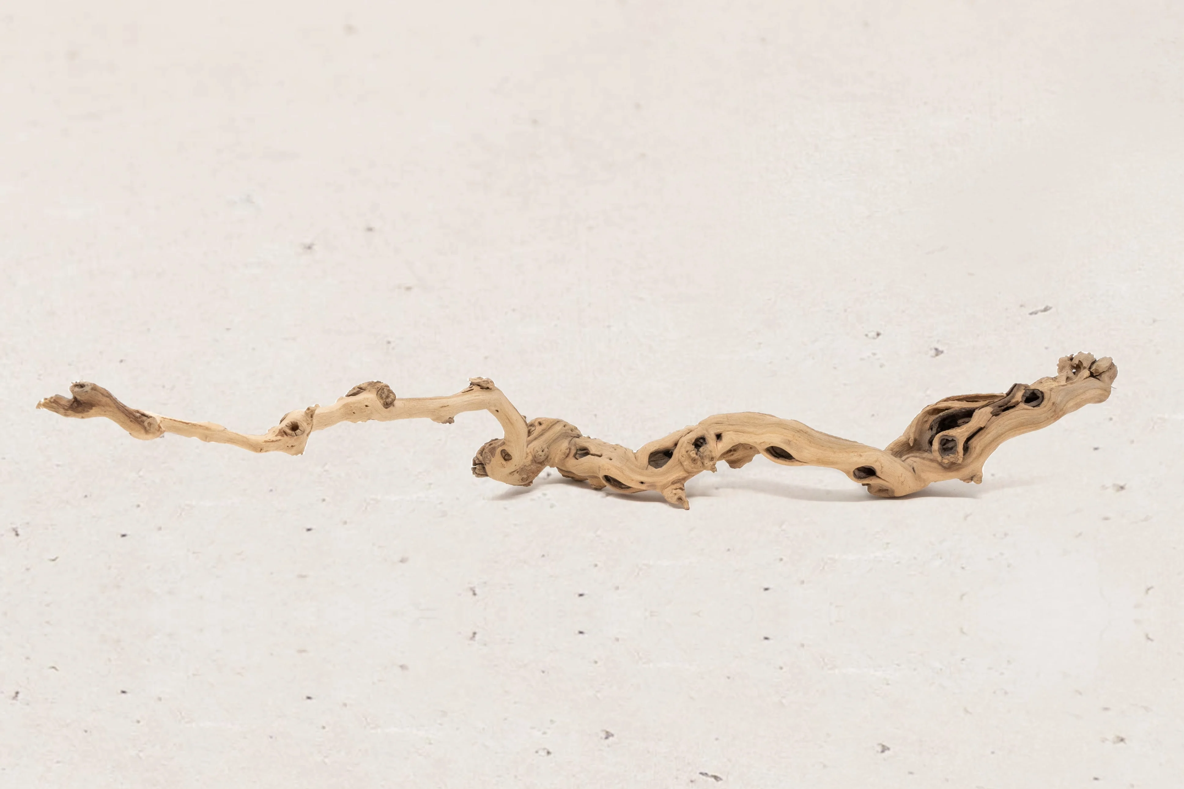 Wholesale Holiday Gifts